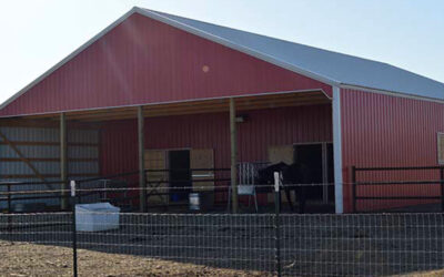 How To Choose the Right Site for Your Livestock Barn